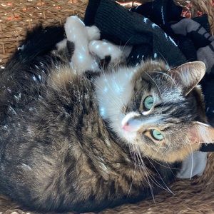 Meet your Posher, Zoe